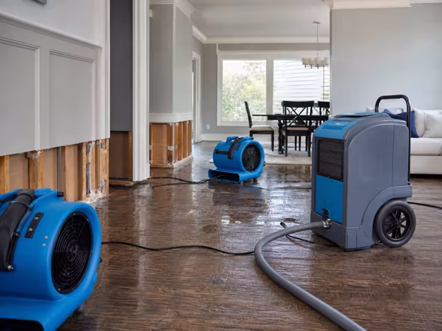 A restoration technician inspecting water damage inside a home